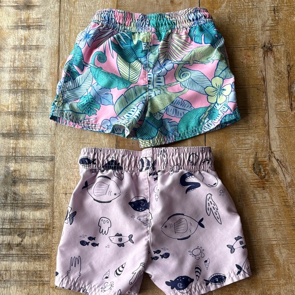 Boys Swim Trunks Set 2t - Picture 4 of 5